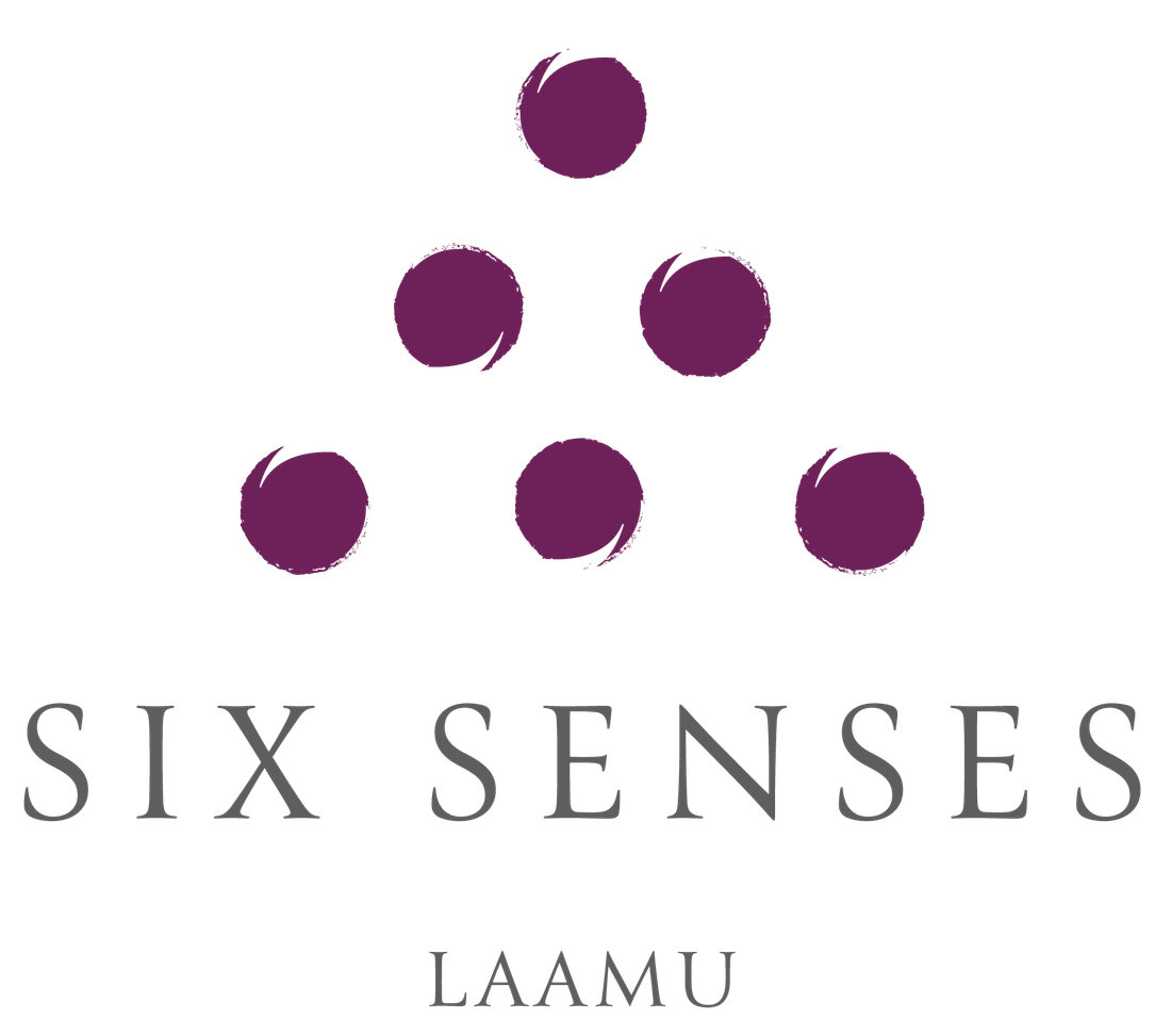 Six Senses Logo